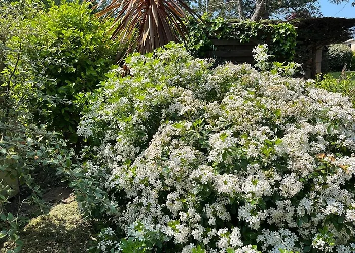 Le Grand Air Holiday home